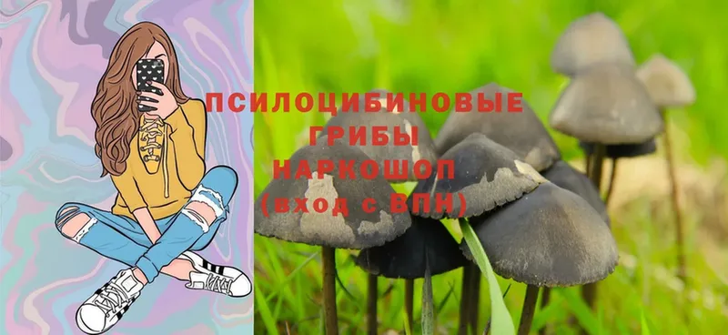 MEGA ONION  Полтавская  Галлюциногенные грибы MAGIC MUSHROOMS  это какой сайт  наркошоп 